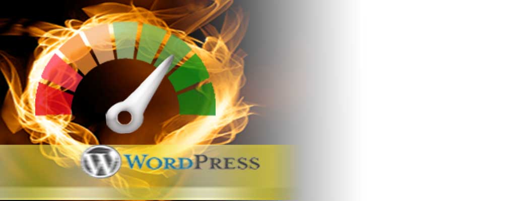 Aceleramos su Web en Wordpress